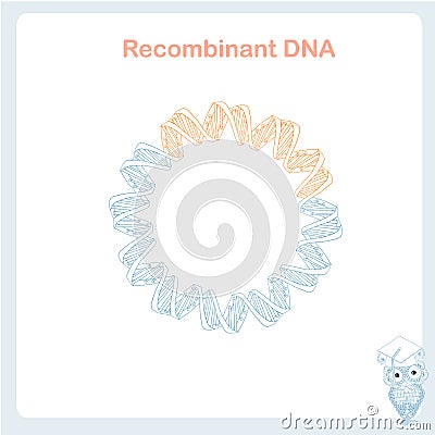 Bacterial plasmid recombinant DNA cloning scheme design element stock vector illustration Vector Illustration